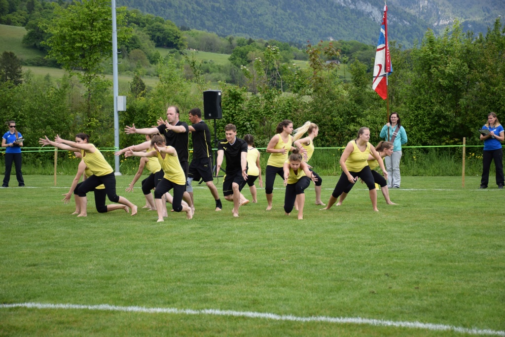 Bild (74)